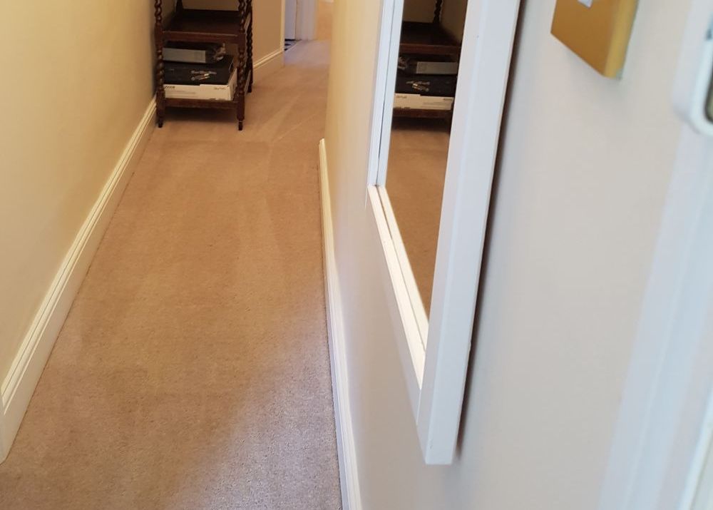 Upper Holloway rug cleaning N19 